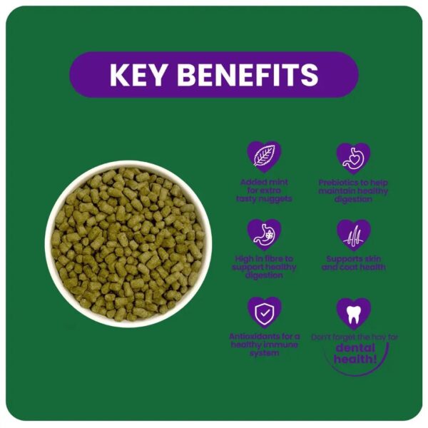 Pet food bowl with key benefits listed around it on a green background.