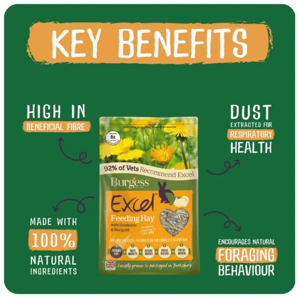 Burgess Excel Feeding Hay packet highlighting key benefits on green background.