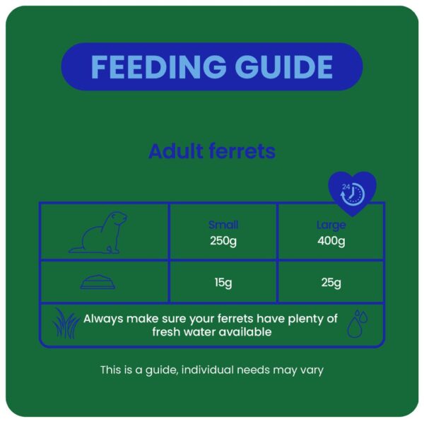 Feeding guide for adult ferrets, small and large size portions.