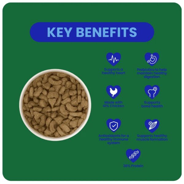 Bowl of dog food with key benefits listed.