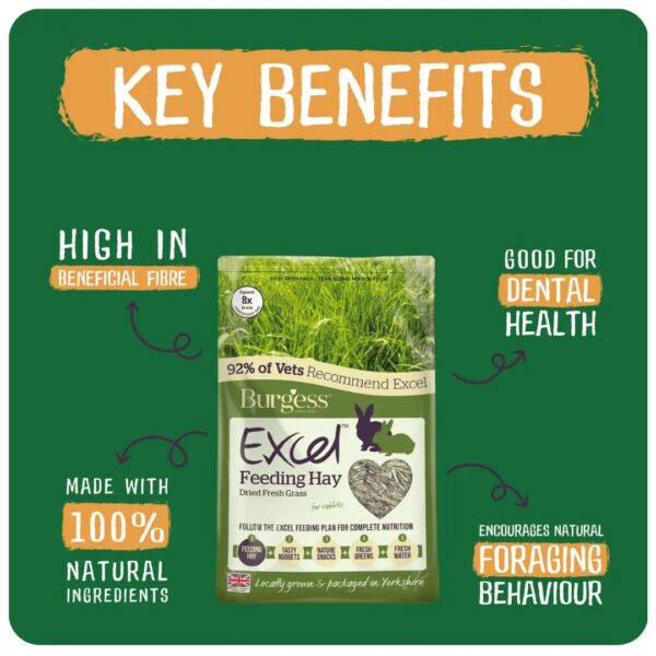 Burgess Excel Feeding Hay packaging with key benefits highlighted.