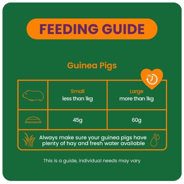 Feeding guide for small and large guinea pigs
