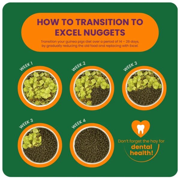 Four-week guide to transition guinea pigs to Excel Nuggets.