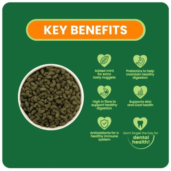 Pet food bowl with key benefits listed