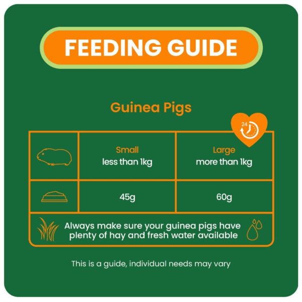 Guinea pig feeding guide showing small and large portions.