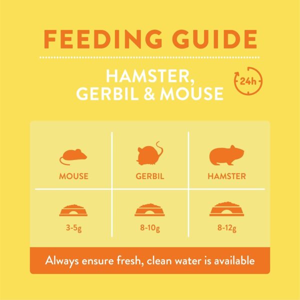 Hamster, gerbil, and mouse feeding guide with portion sizes.