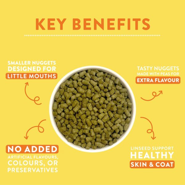 Pet food nuggets in bowl with benefits text.