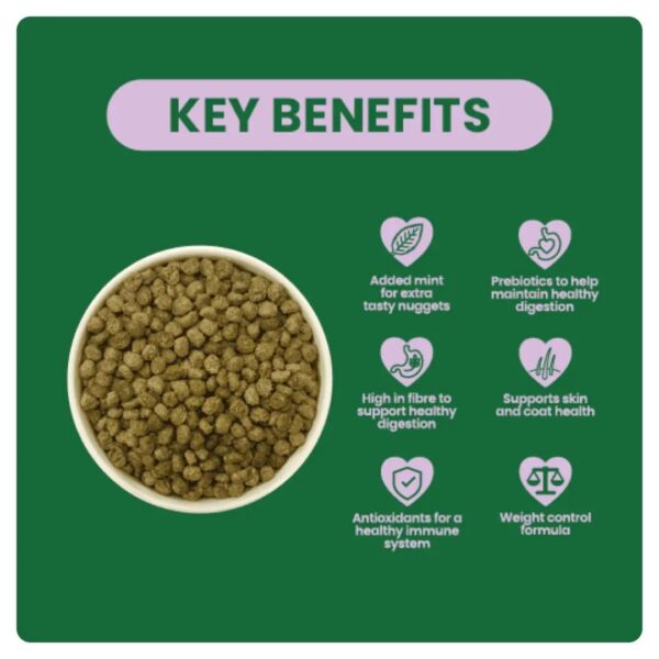 Bowl of pet food with key benefits listed including mint, prebiotics, and antioxidants.