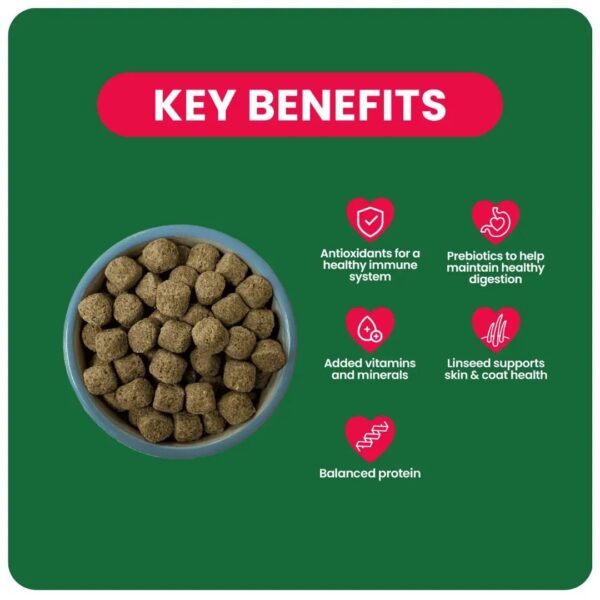 Dog food in a bowl alongside key health benefits listed.